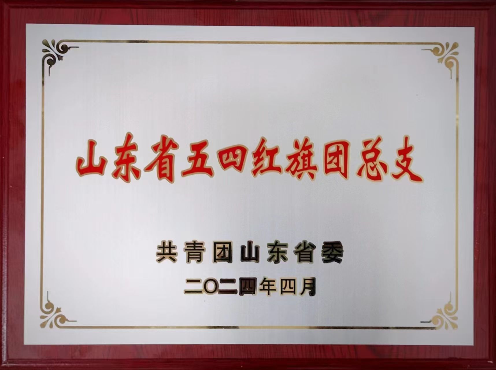 230BA 230BA