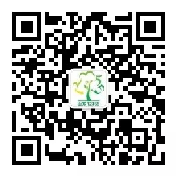 山东省12355青少年公共服务平台