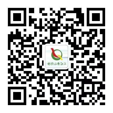 临沂山青社会工作服务中心